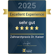 Excellent Experience 2025
